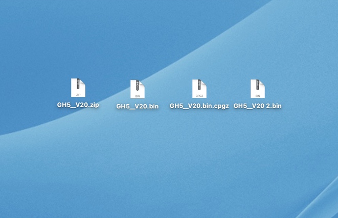 GH5 Update.jpeg
