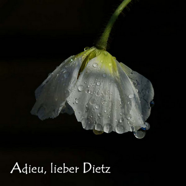 Farewell Dietz.jpg