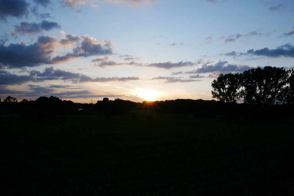 P1140235c.jpg