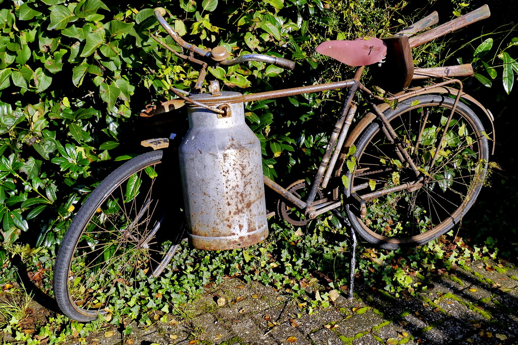 Milch Fahrrad.JPG