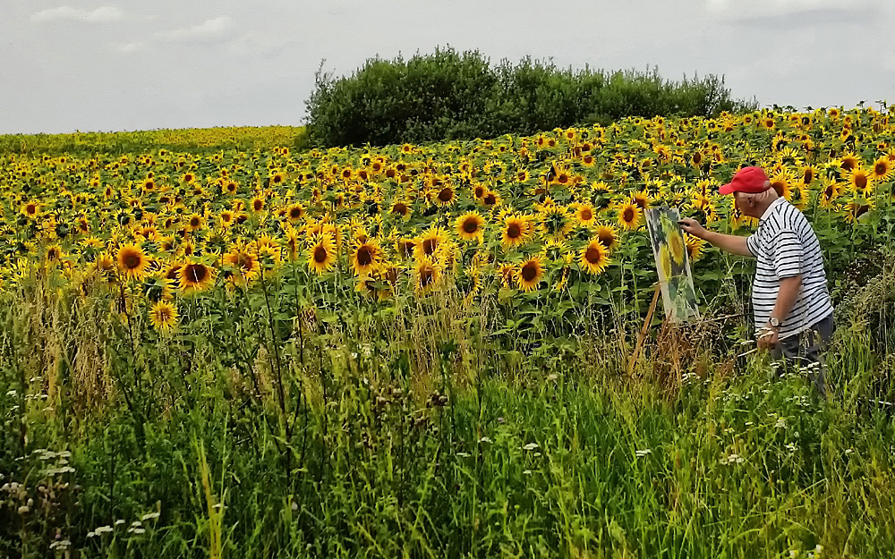 Sonnenblumenfeld und Maler.jpg