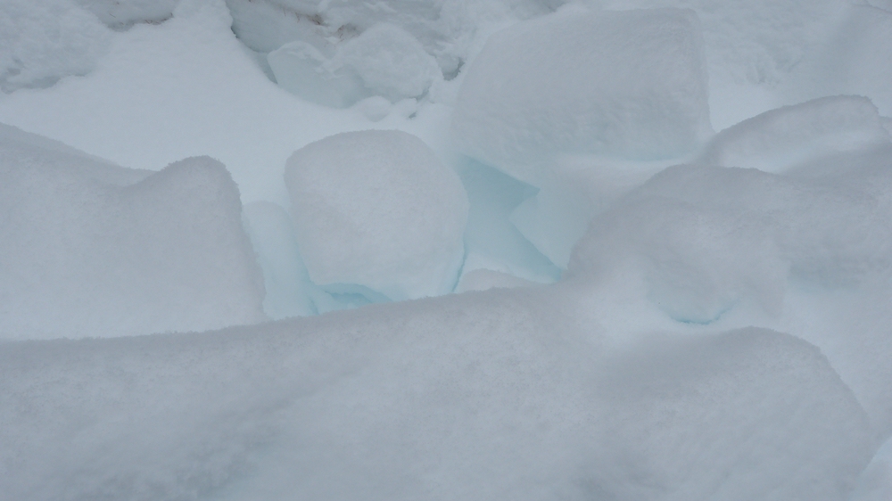 verkleinert .swP1140364.jpg