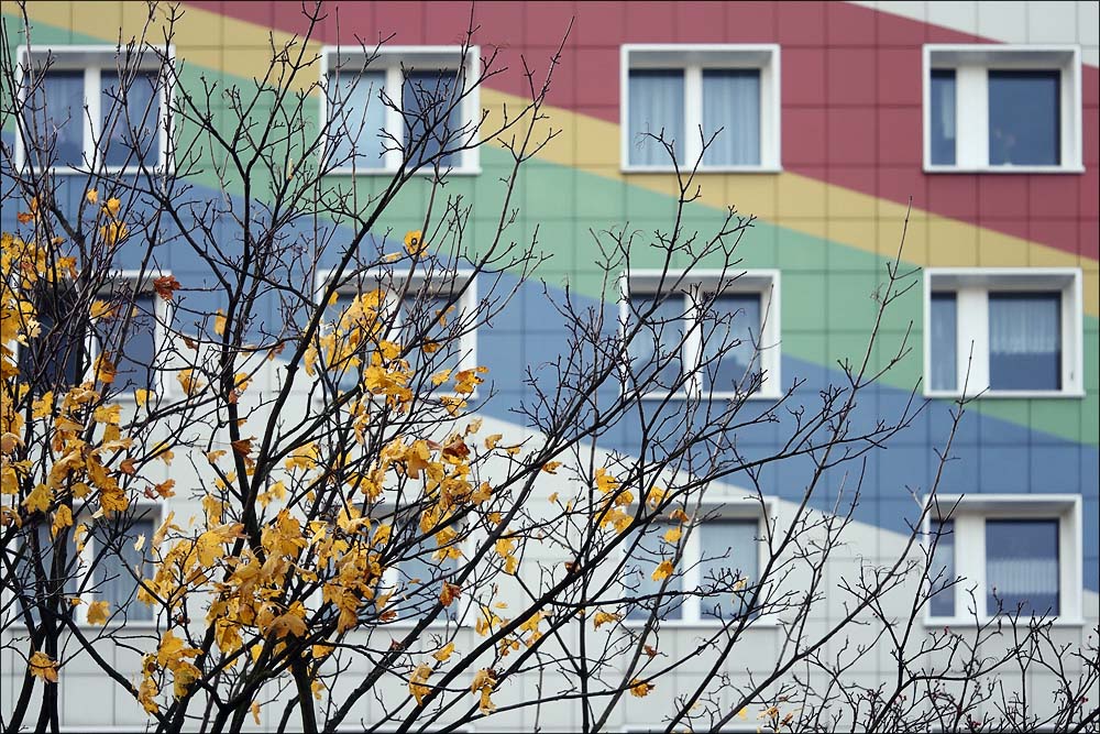 herbst vor regenbogen.jpg