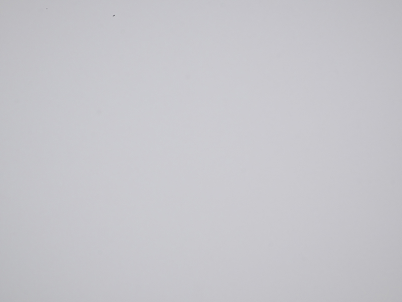 P1110081_800_600.jpg