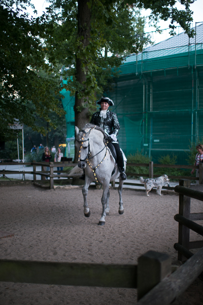 P1050346.jpg