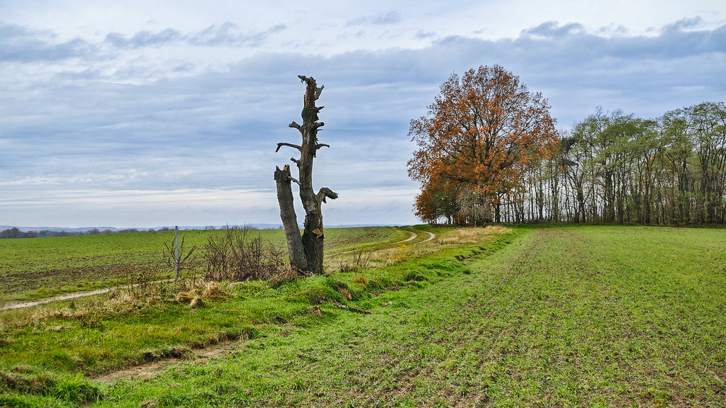 P1200110_verkl-bearbeitet.jpg