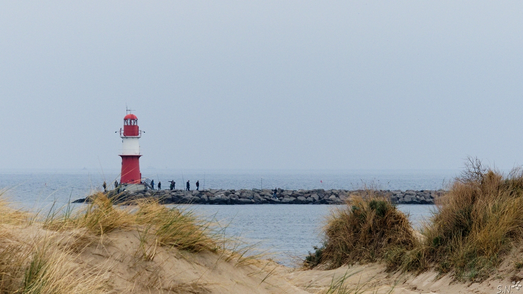 P1010521.jpg