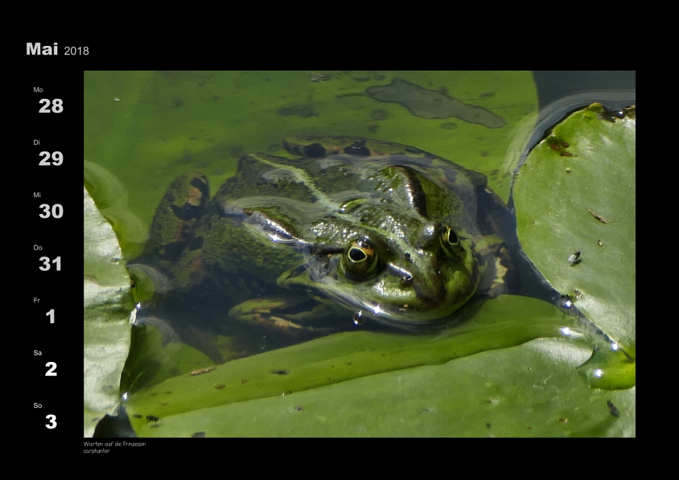 Kalenderbeispiel 2018 (meinbildkalender.de).jpg