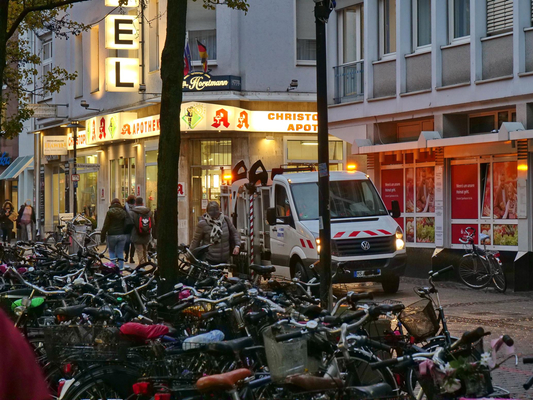 P1002393lx.jpg