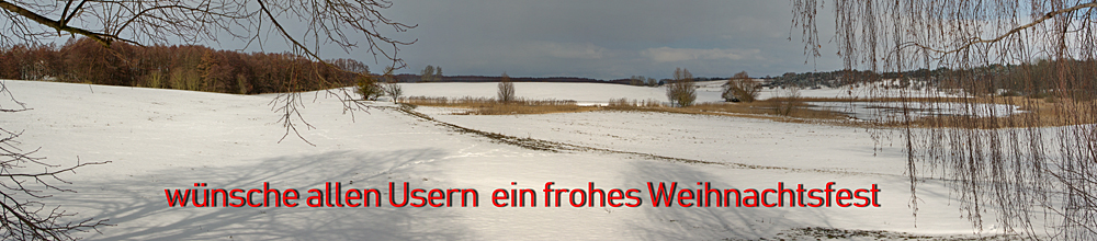 Weihnachtsgruß.jpg