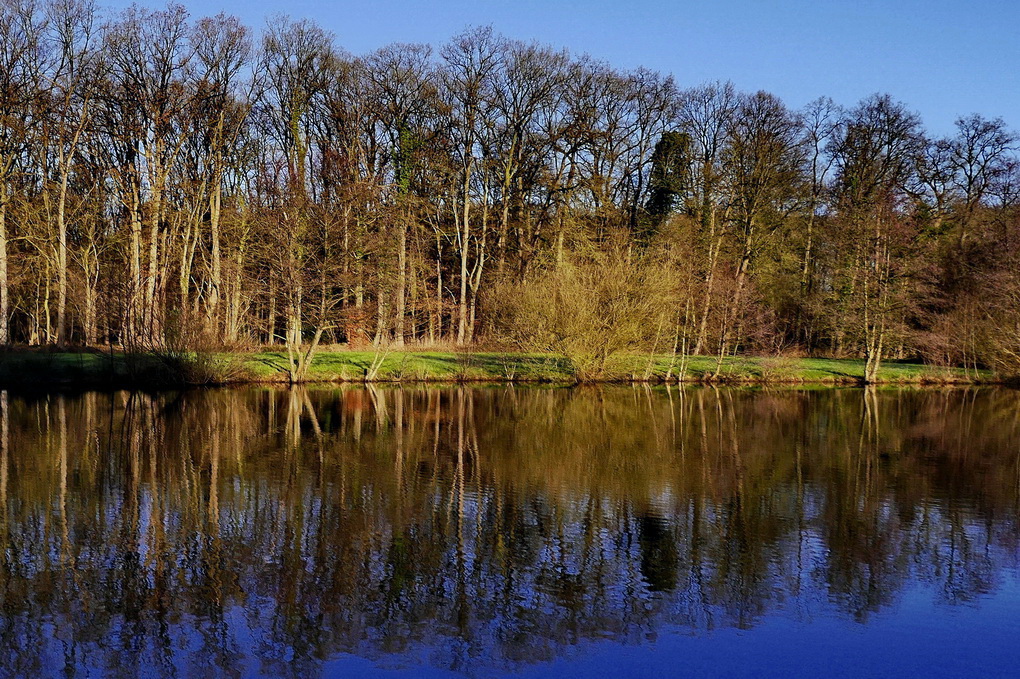 Am Teich.JPG