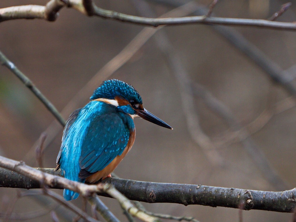 comp_DC-G9 - P1010316.dng.jpg