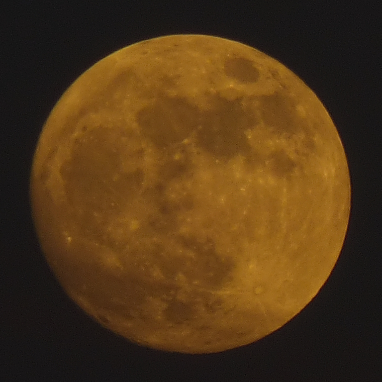 P2930608bis10 Mond .jpg