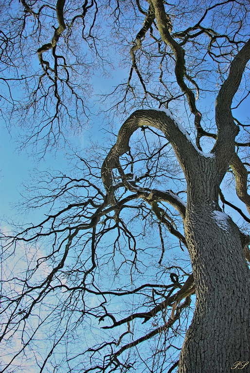Winternachmittag 3red##.jpg