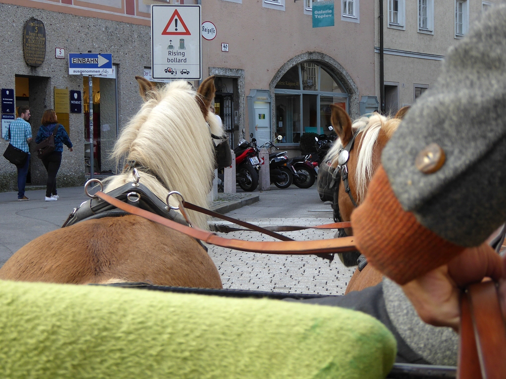 comp_Salzburg Kutschfahrt.jpg
