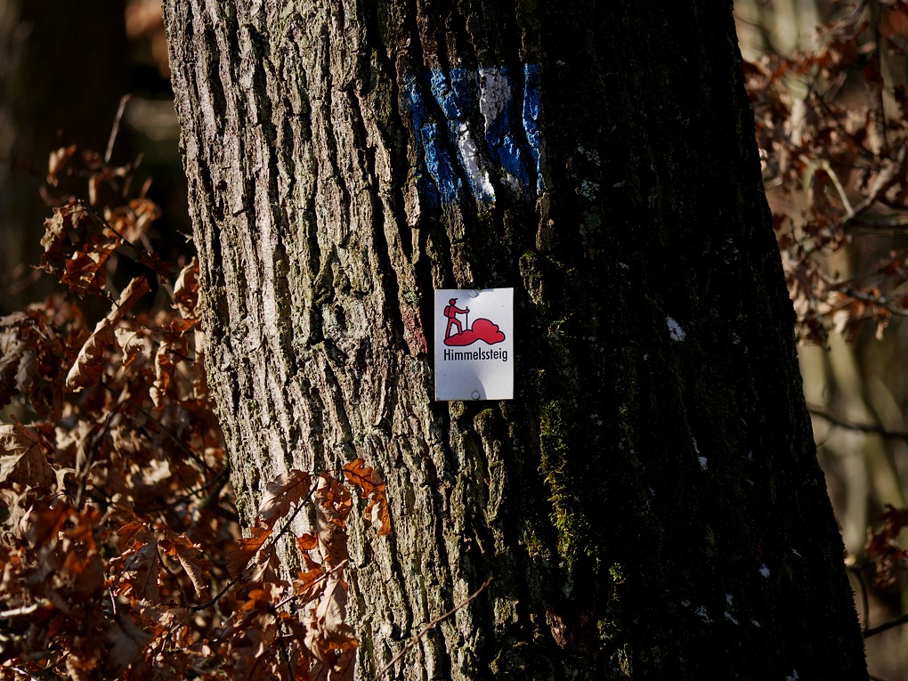 P1030718aklein.jpg