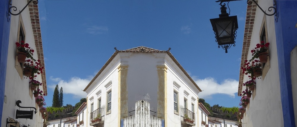 P1030197-1000.jpg