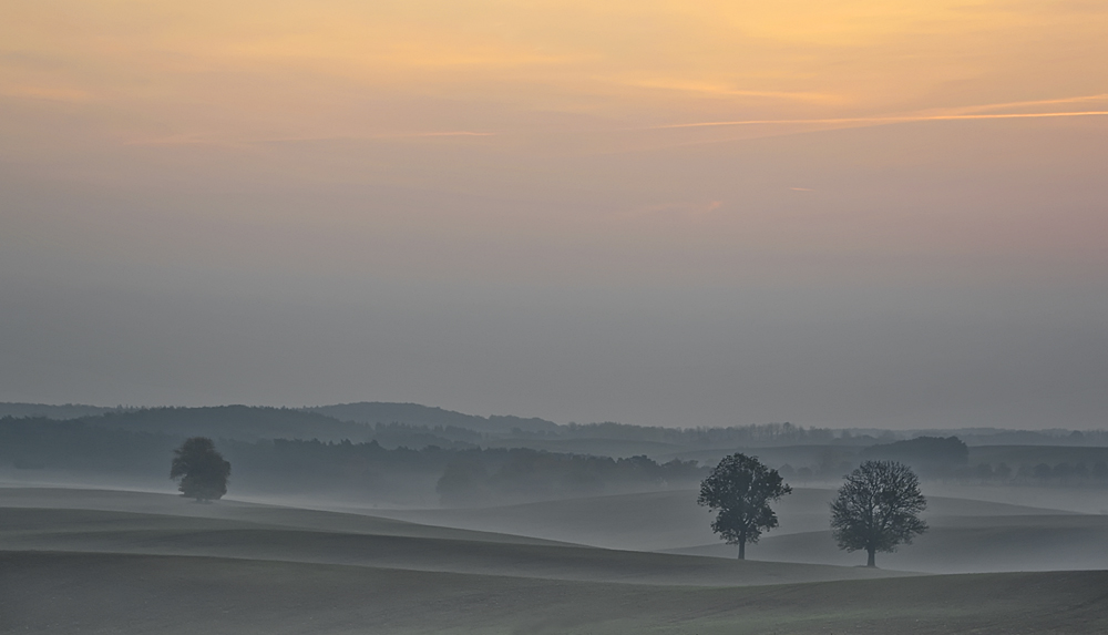 Klein Sperrenwalde_auf dem Feld_02_2.jpg