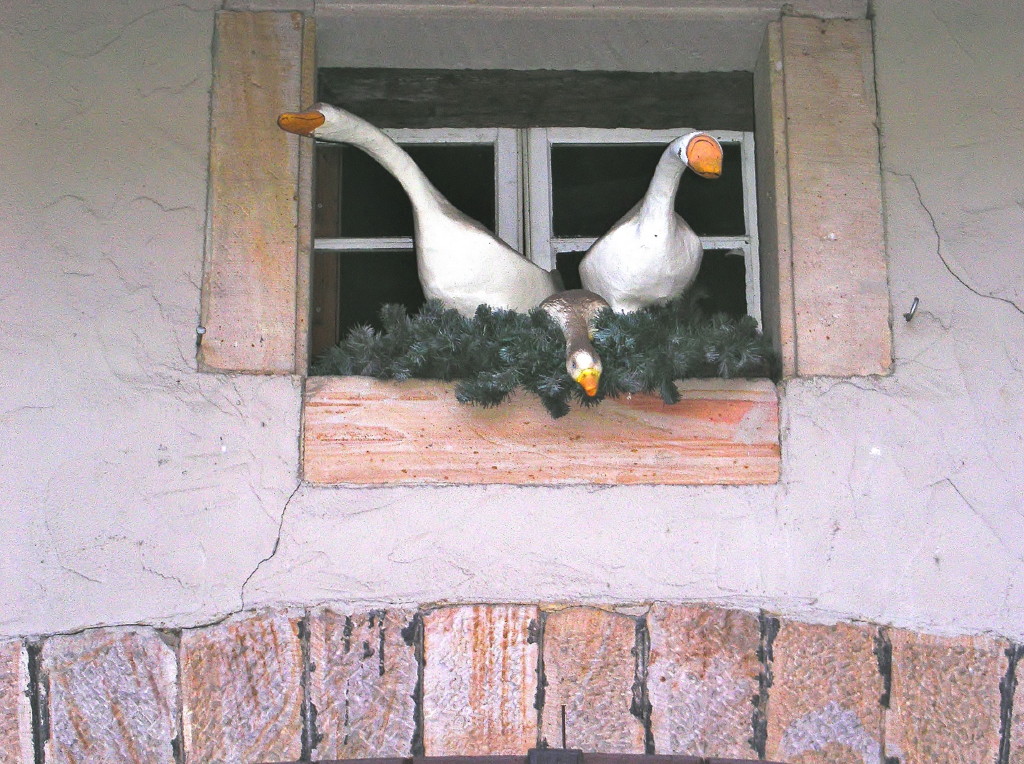 Eckstr. _1_1.JPG