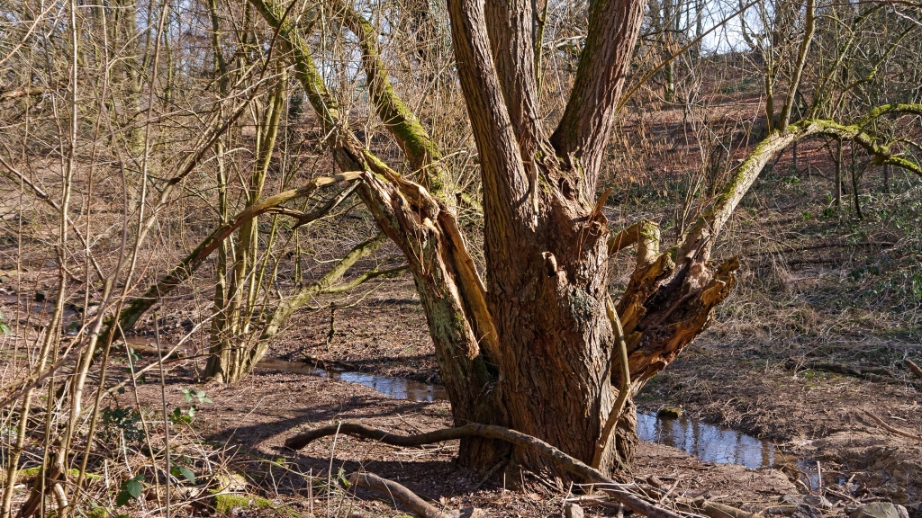 P1120233_DxO.jpg