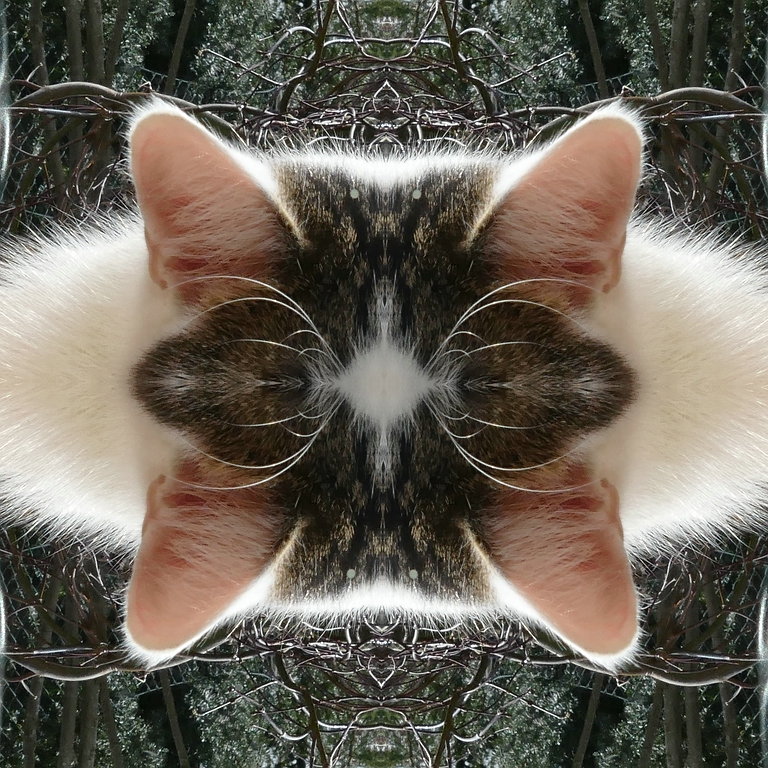 comp_P1010151 Ka.jpg