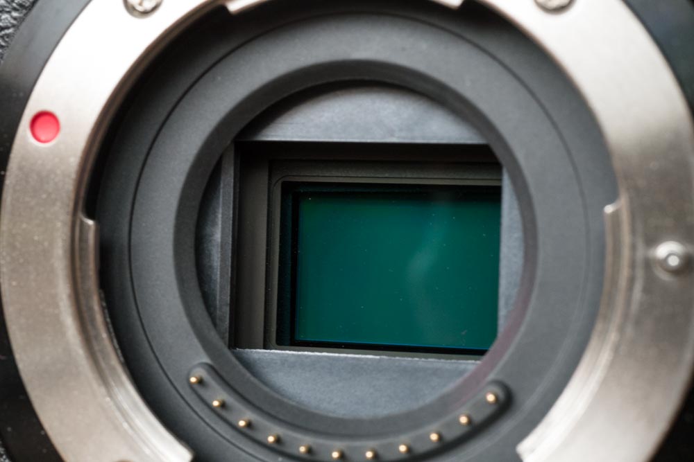 GX80 LUMIX G MACRO 30-F2.8_30 mm-2.jpg