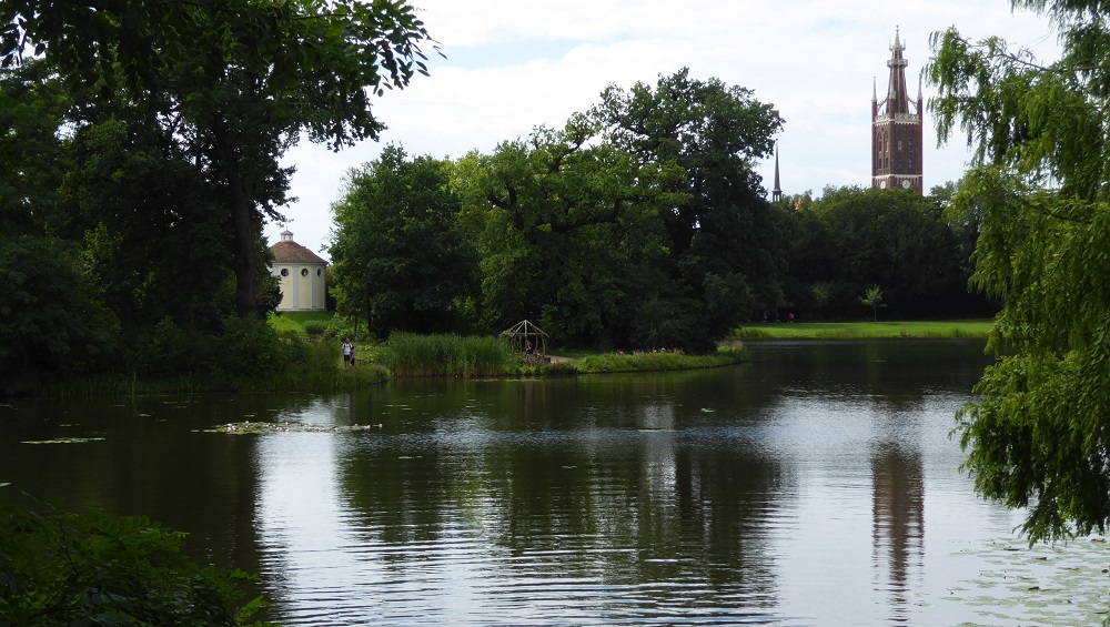P1080944-1000.jpg