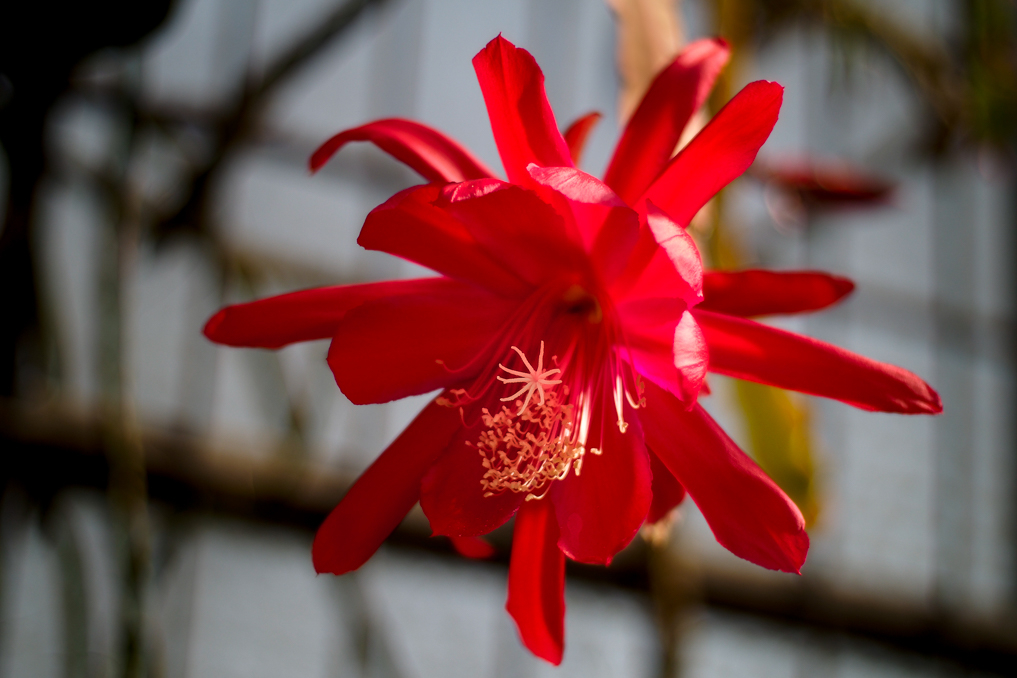 _4080026-2.jpg