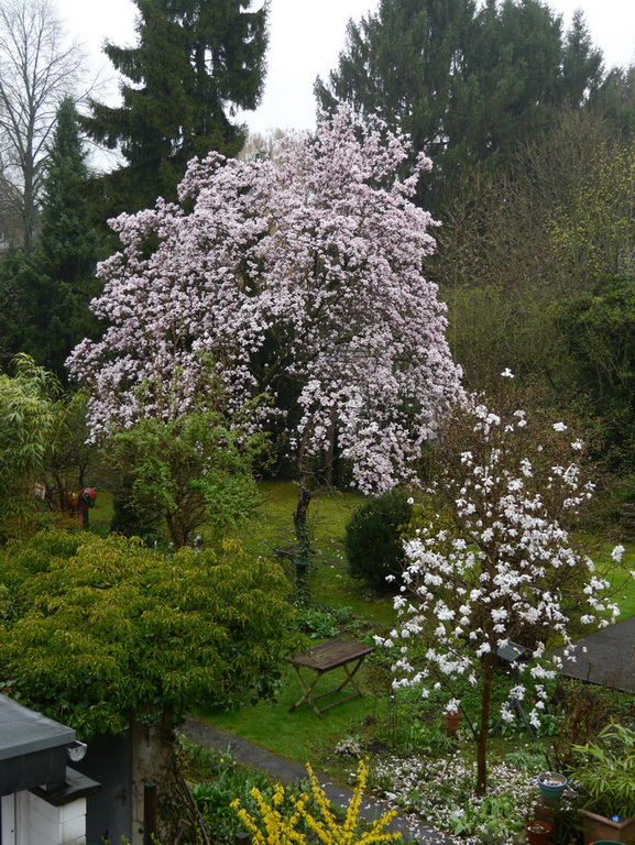 P1040938-880h-so jetzt aber.JPG