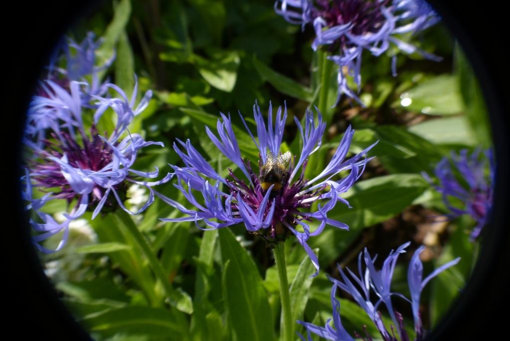 P1000262.JPG