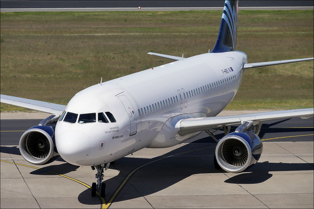 spotting_tegel_246.jpg