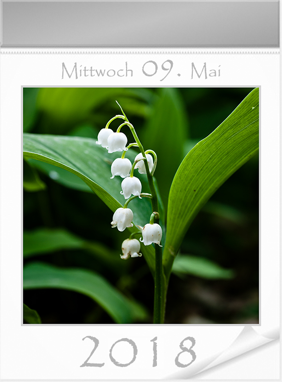 09_Mai.jpg