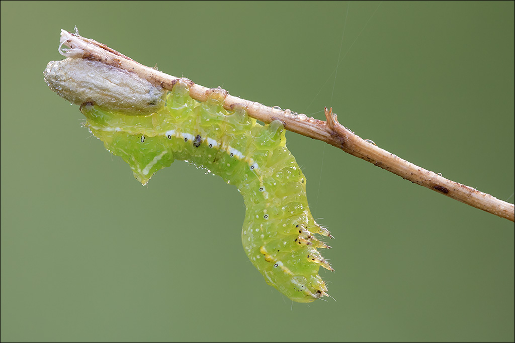 03-k.jpg