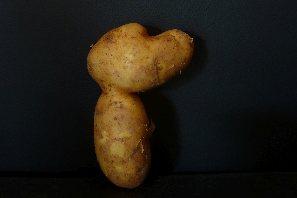 Kartoffel-Snoopy.jpg