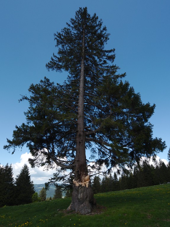 P1200433_DA_1.jpg