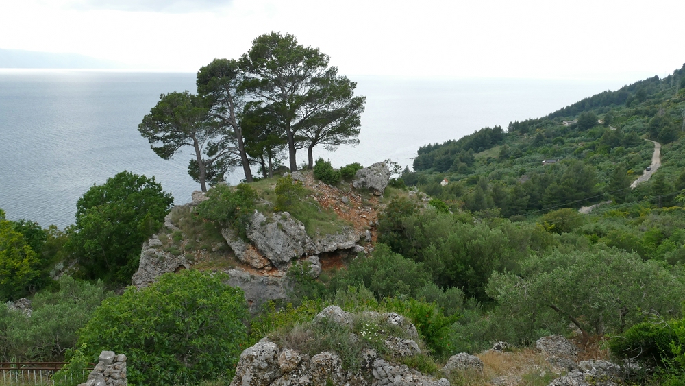 verkleinert .P1200132 x.jpg