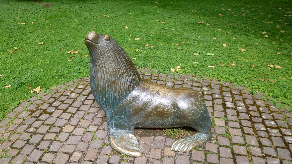 P1050110.jpg