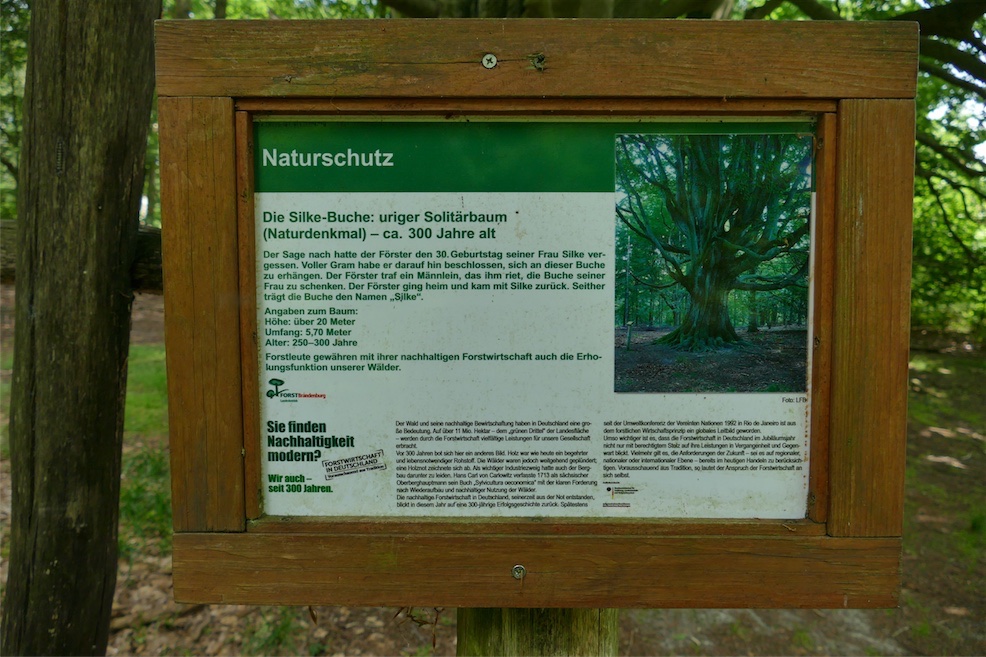 P2350361.JPG