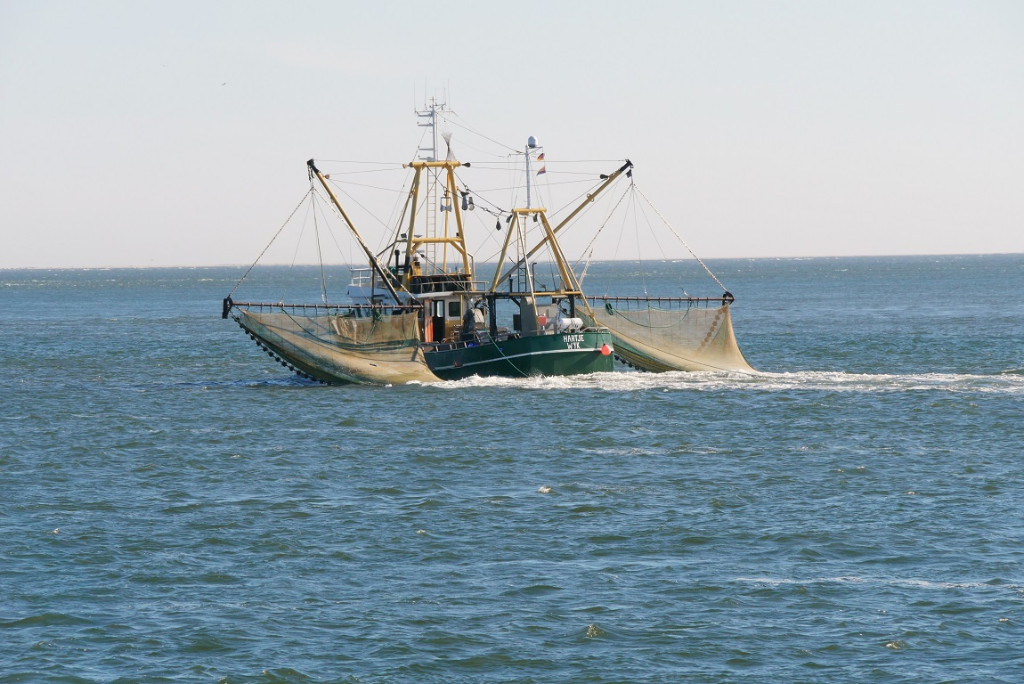 P1030552a.jpg