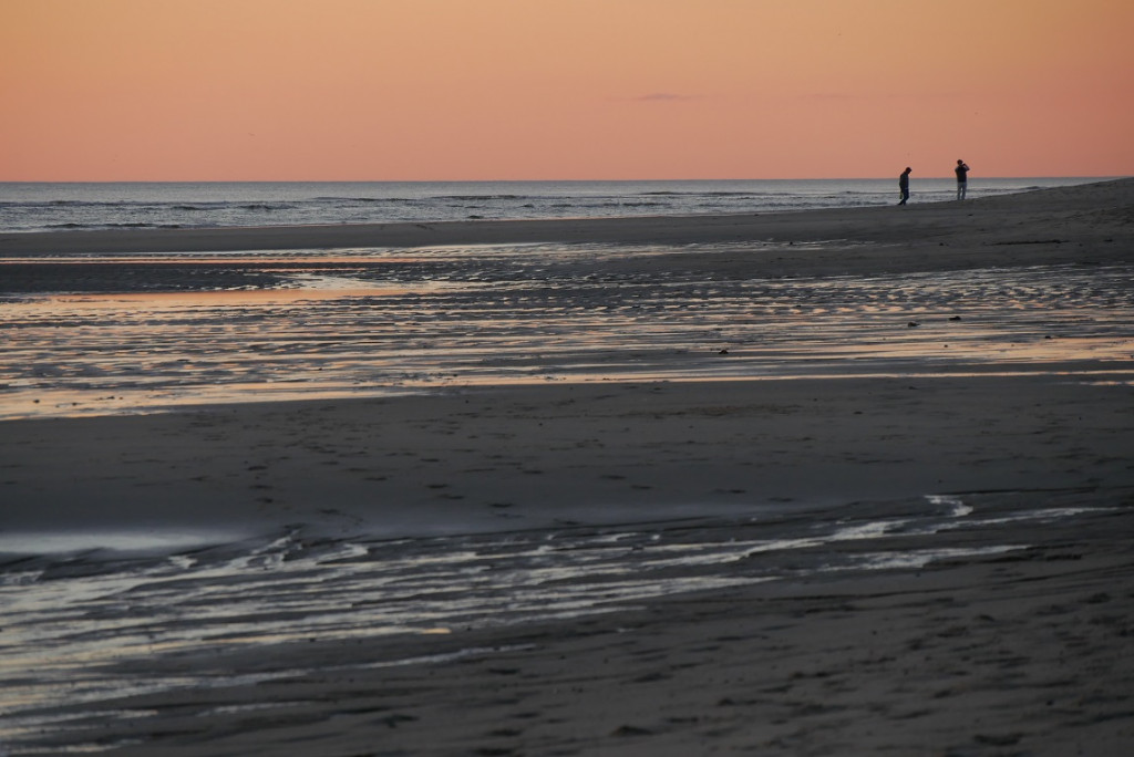 P1030829a.jpg