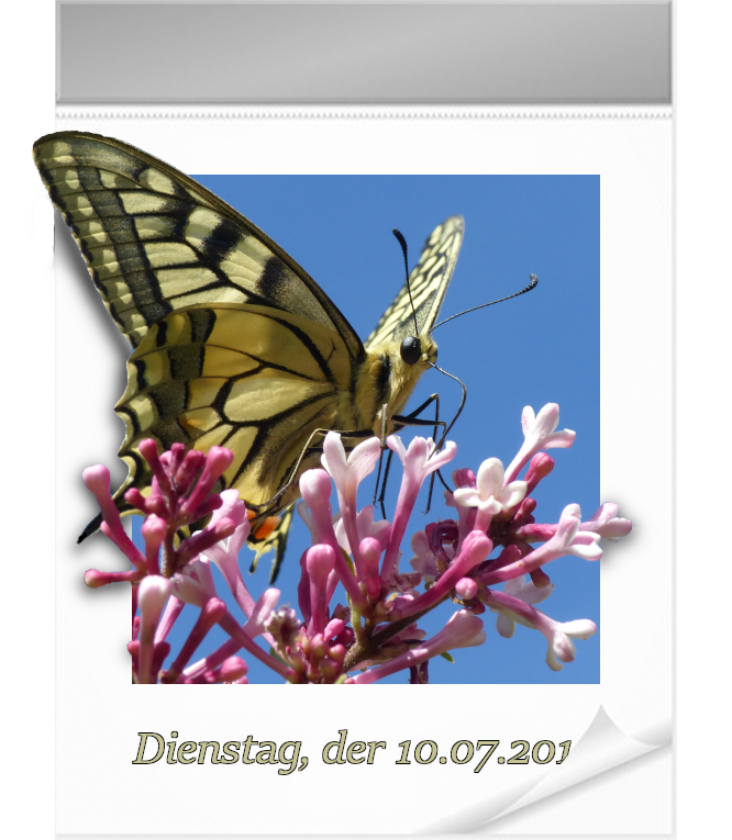 Kalenderblatt 090718.png