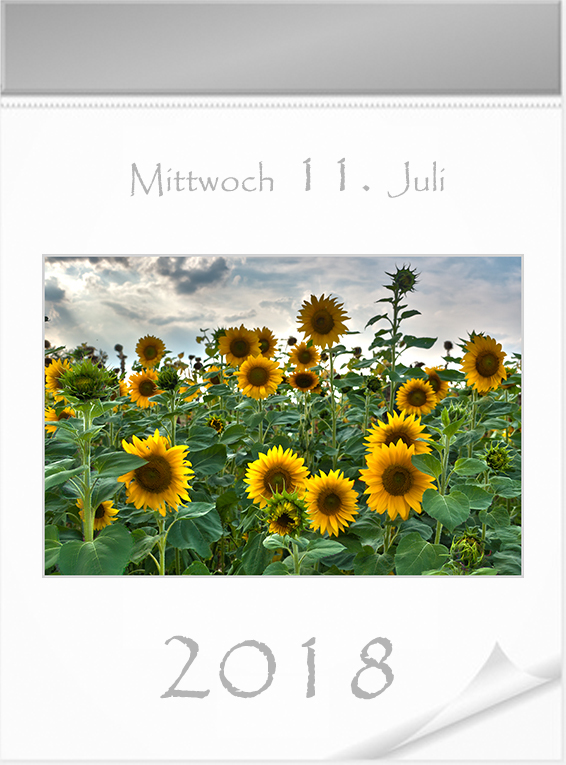 11_Juli.jpg