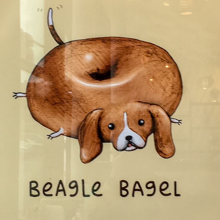Beagle Bagel.jpg