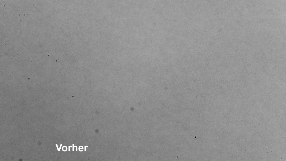 Sensor P1030405a vorher.jpg