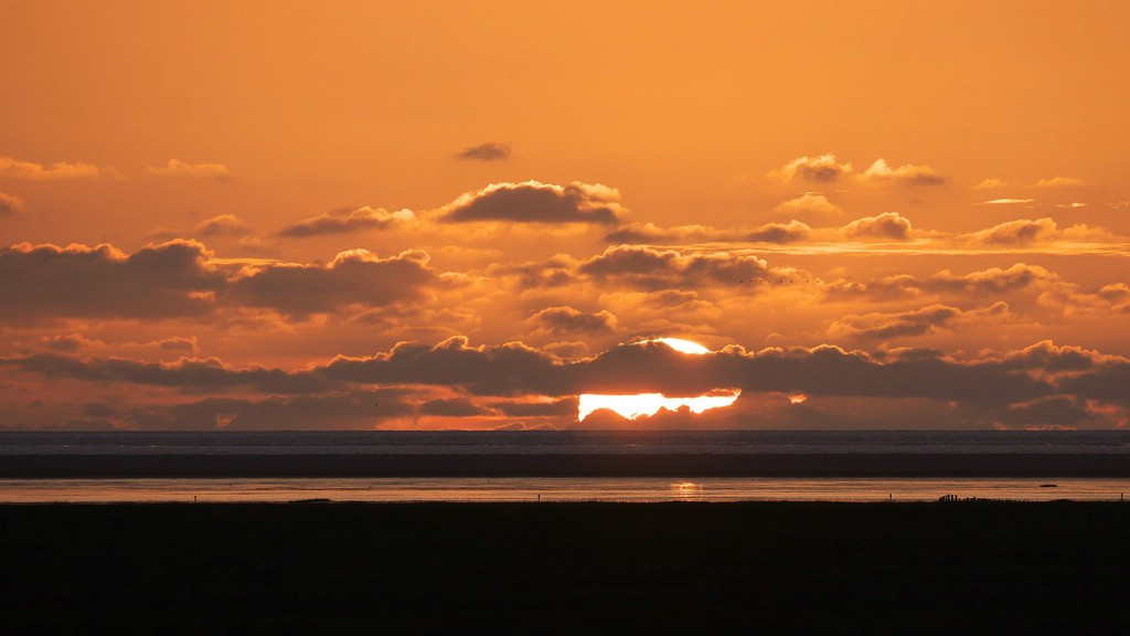 P1030922_R6.jpg