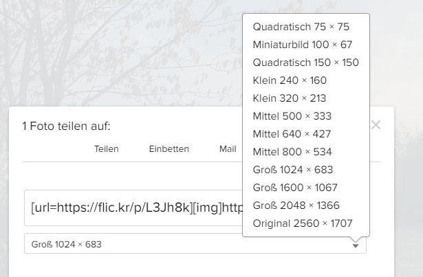 groesse.jpg