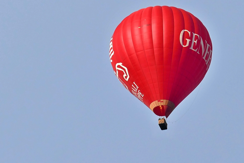 comp_P1010308a.jpg