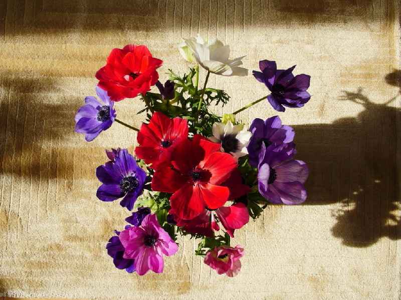10 Original P1080972 FF.JPG