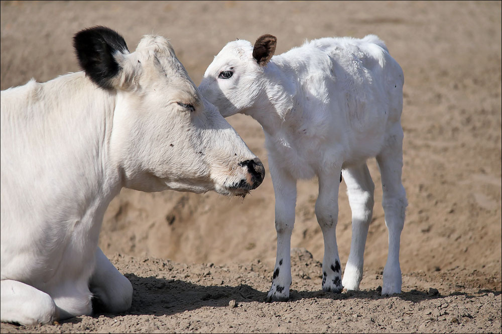 tierpark_03.jpg