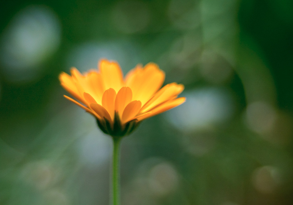 PA070560-3.jpg